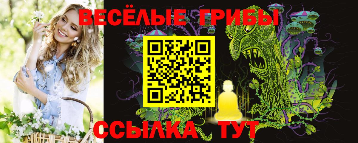 Псилоцибиновые грибы Psilocybe Тольятти
